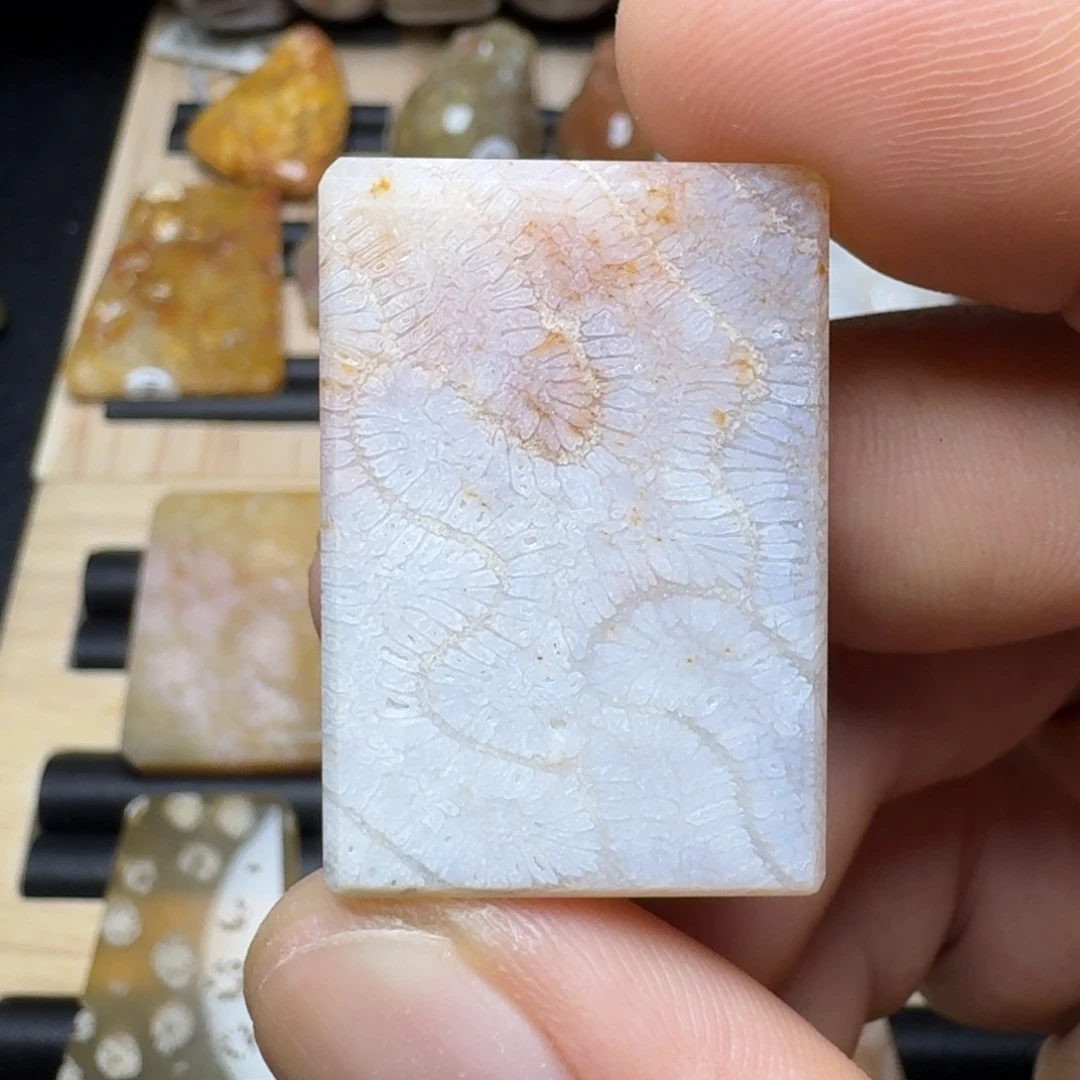 未镶嵌纯天然色有机玉石保真色硅化玉