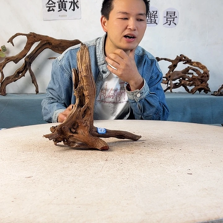 新年快乐沉木造景