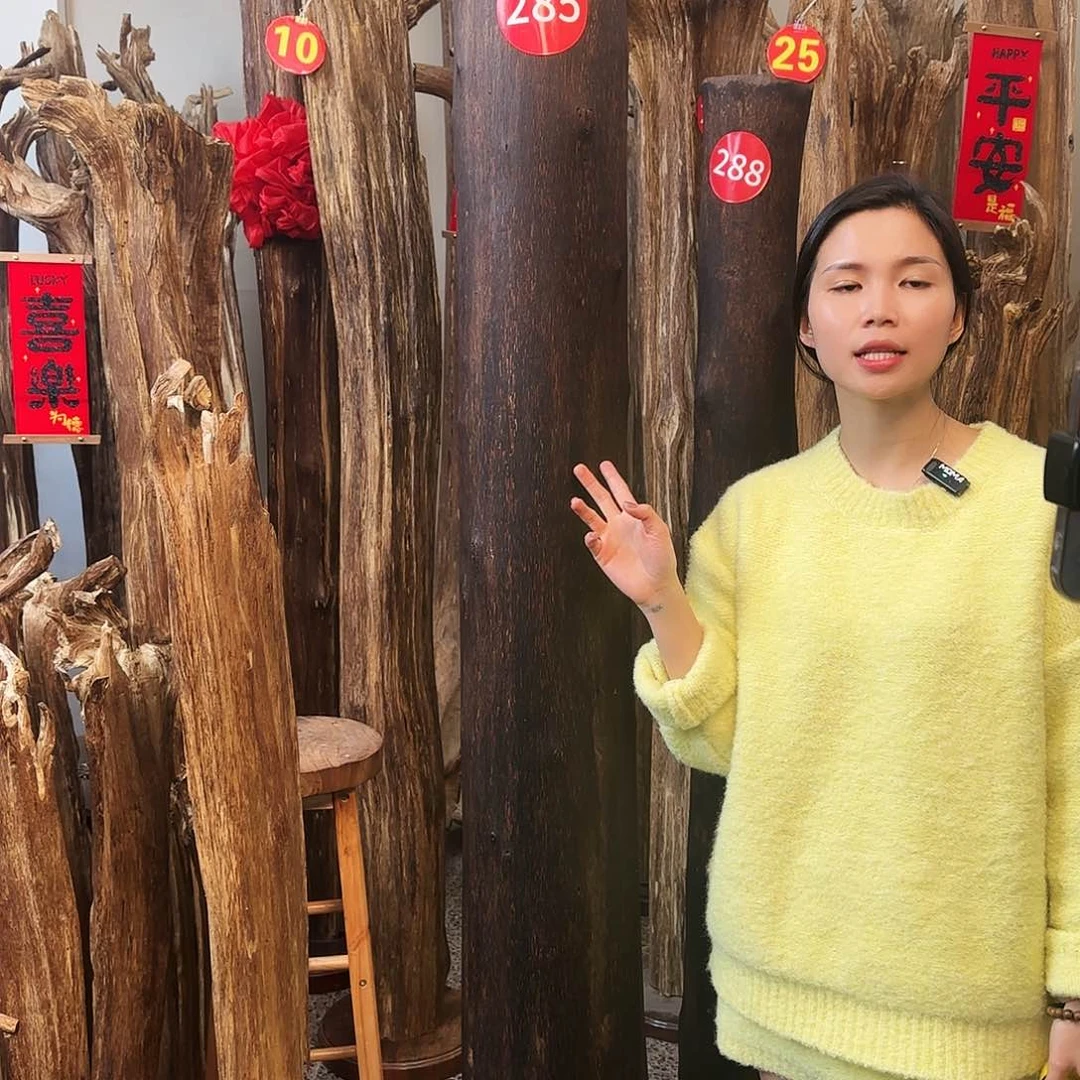 沉香木摆件沉香原木工艺品摆件➕底座