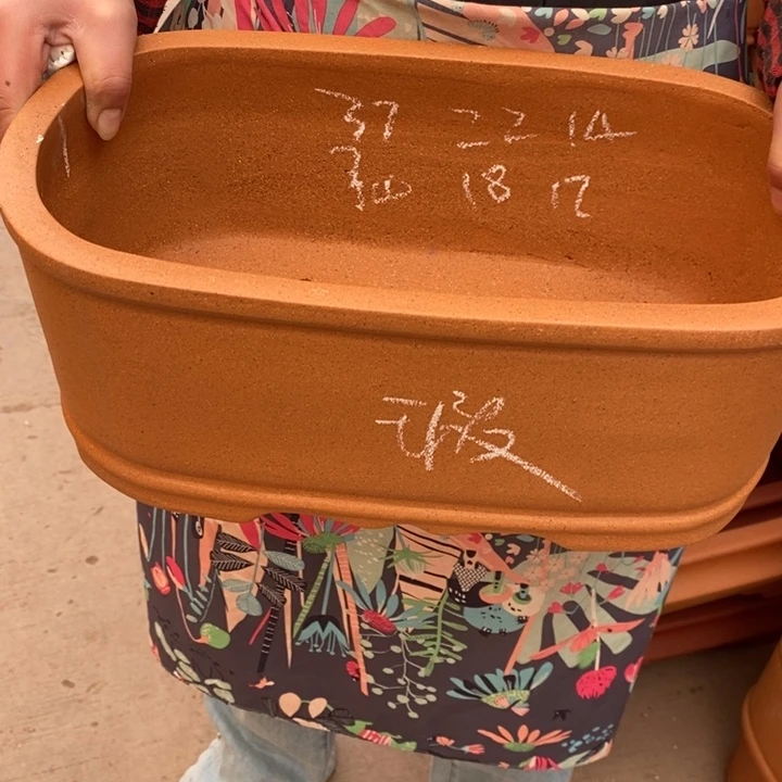 花盆紫砂只顾吃肉