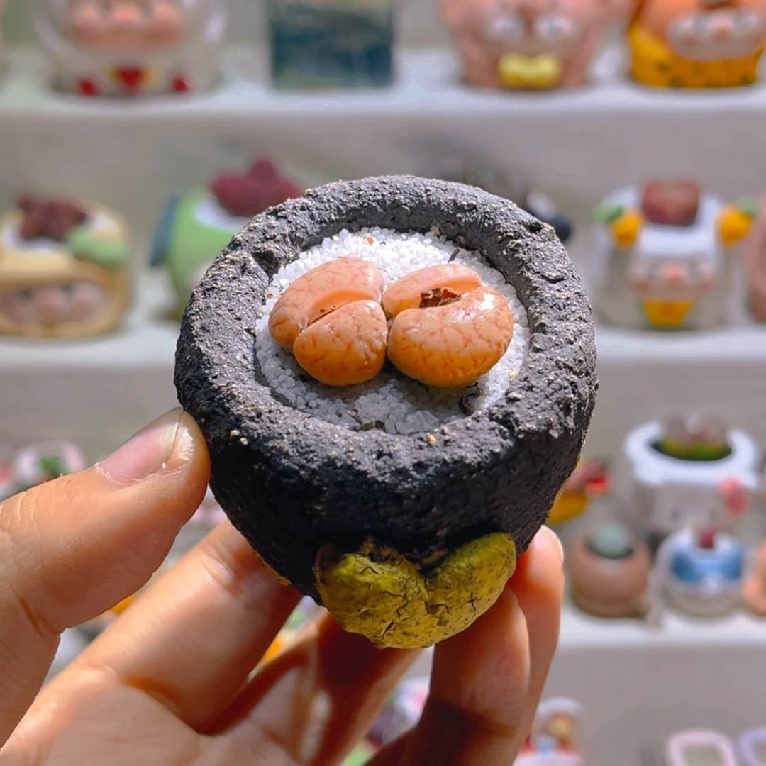 042高端多肉带盆土一套28