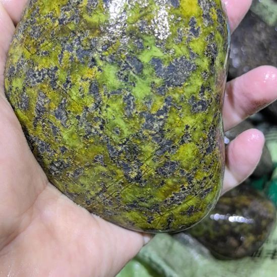 解***缙木藏玉药王石原石一个