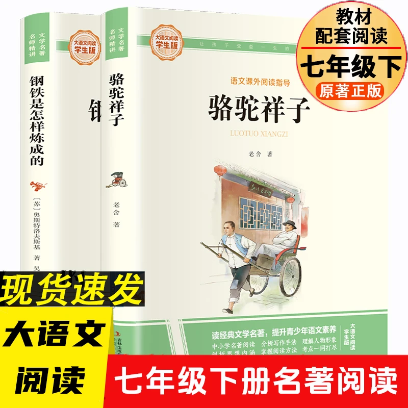钢铁是怎样炼成的骆驼祥子彩图旁批旁注七年级下册名著阅读课外书