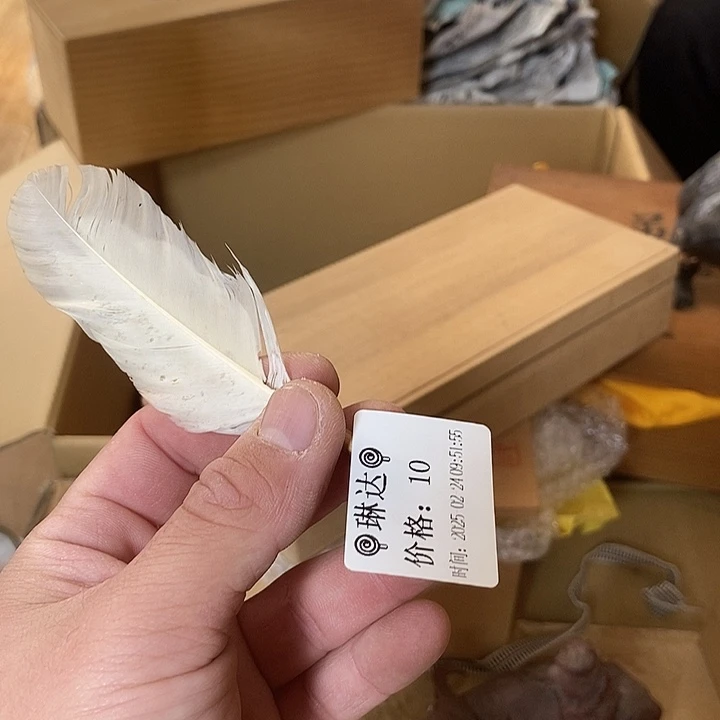 瓷片?**?瓷哨阿宝先生推荐