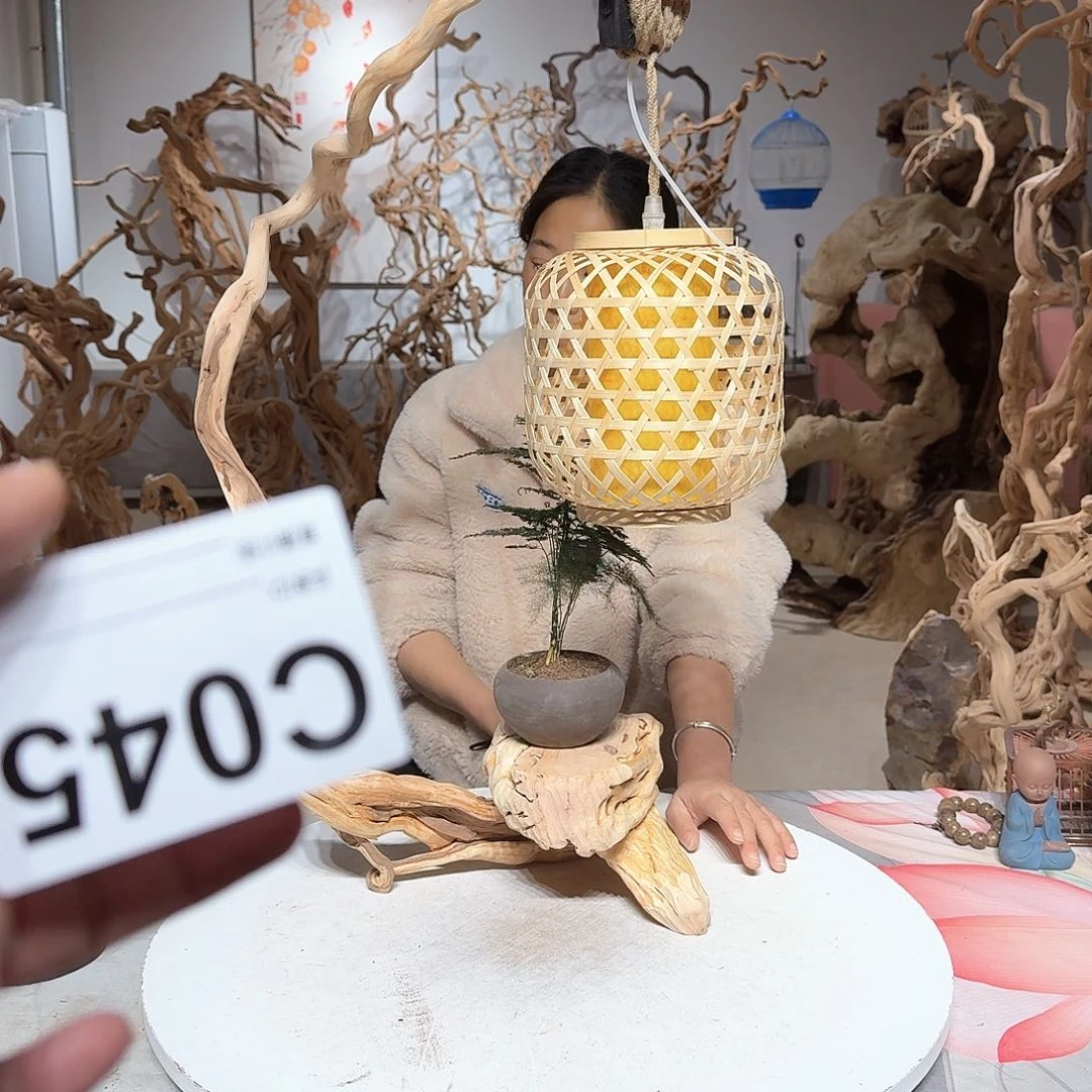 风车木（黑檀木）海****长