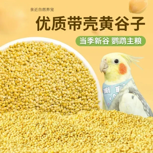 优质谷子鸟食批发牡丹玄凤食粮饲料文鸟金丝雀鸟粮鹦鹉食粮