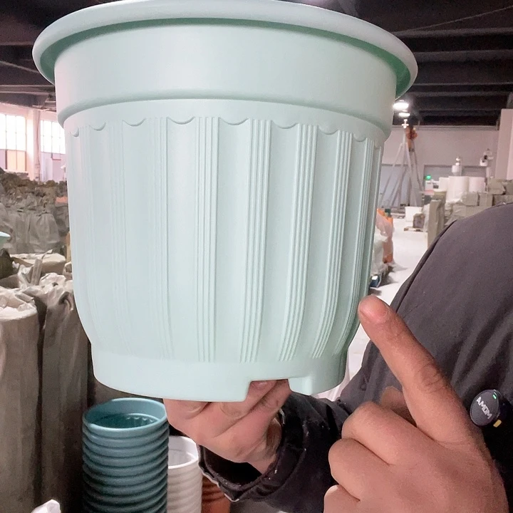 塑料罗马240浅绿3个无托