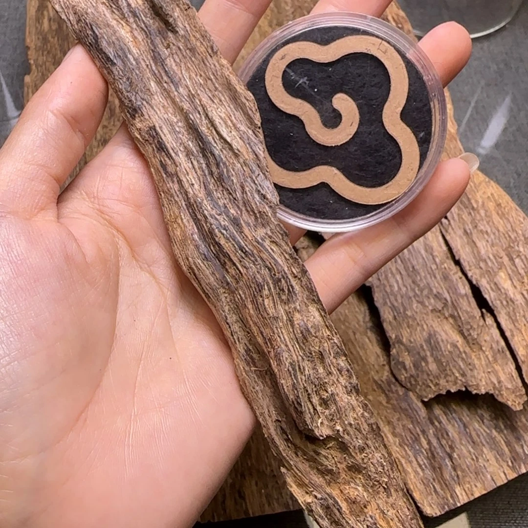 海南奇楠泡料10.6克