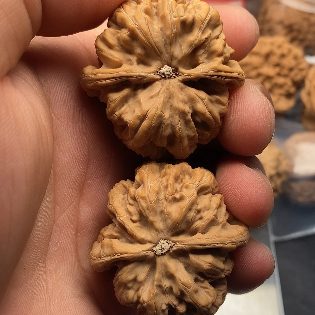 文玩核桃把件以**瘾粗筋43