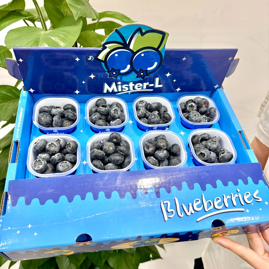 当季限定秘鲁进口蓝莓宝宝杯爆甜脆【顺丰包邮 坏果包赔】