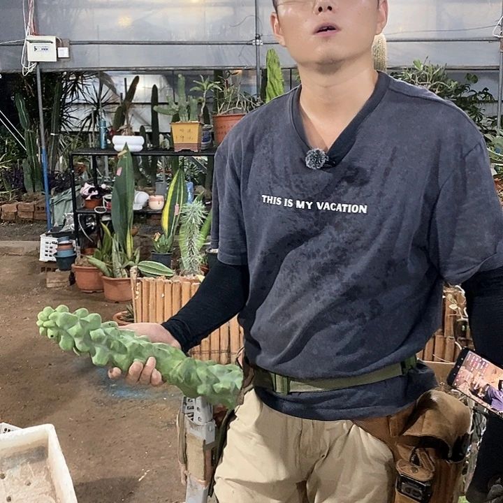 3号选手。