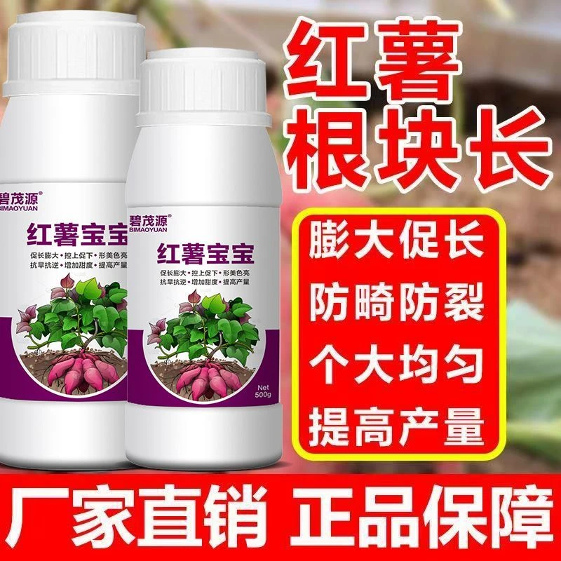 红薯宝宝番薯宝宝进口快速膨大素防裂补钙补镁红薯种植叶面肥