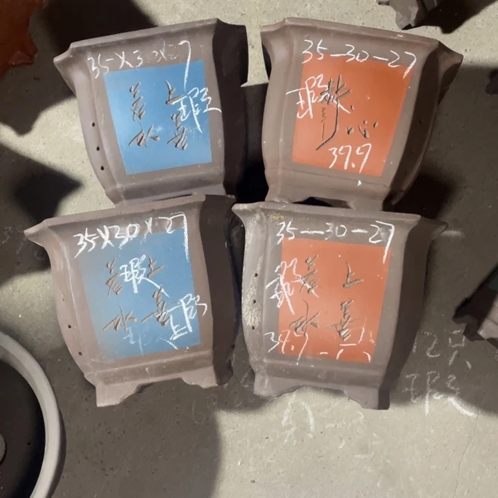 周深周深周深周深周深