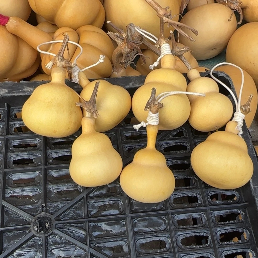 ****连直播间7个胖墩葫芦