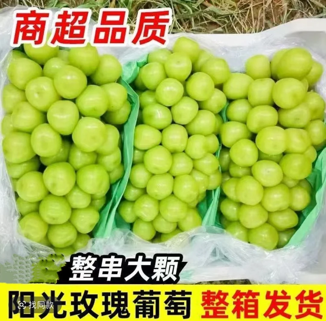 【全国顺丰包邮】正宗大连阳光玫瑰葡萄新鲜水果净重5.5斤2~3串