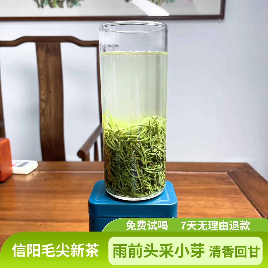 2025年正宗信阳毛尖明前小芽中秋礼盒中秋送礼高端品质绿茶毛尖茶