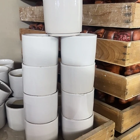 10个····全是福利····
