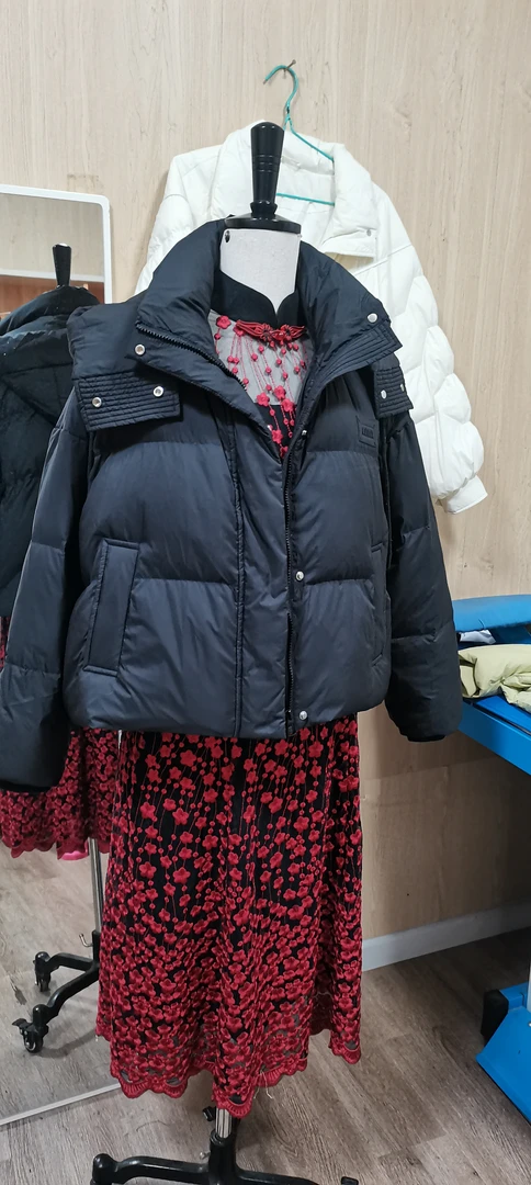 半成品衣壳女式短款