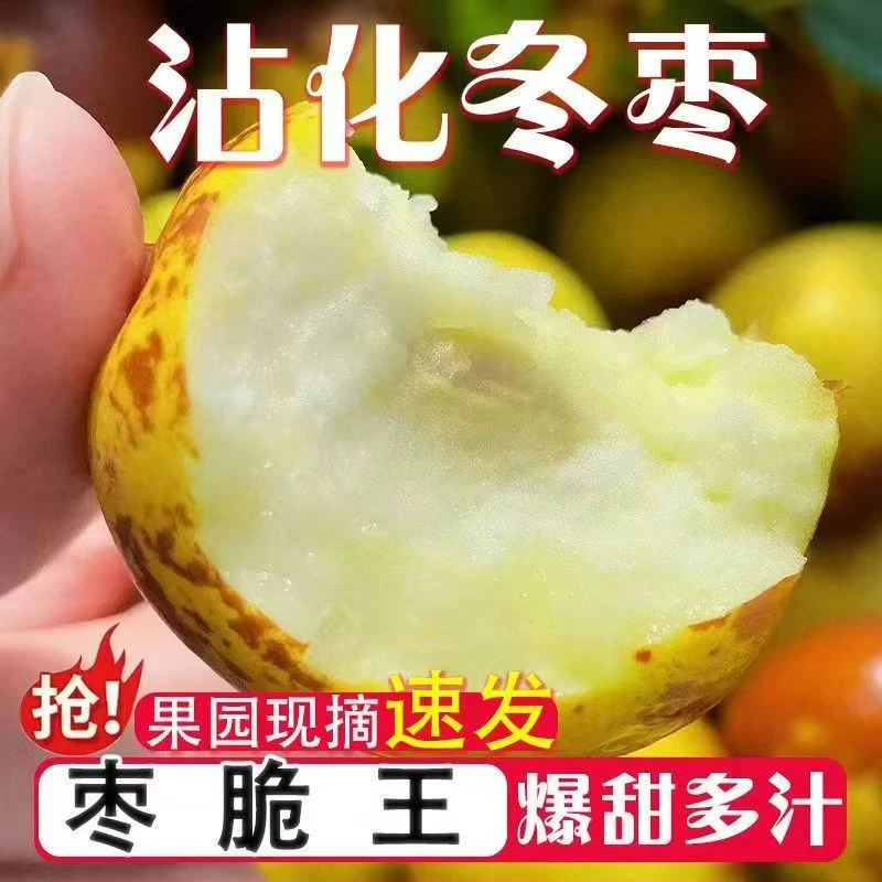 脆甜沾化冬枣山东特产特大果新鲜脆甜现摘现发