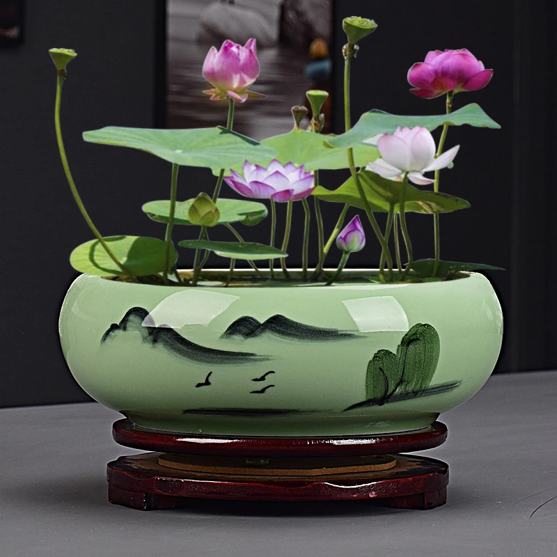 禾水仙无孔花盆陶瓷铜钱草水培睡莲一叶莲碗莲水养专用盆缸带底座