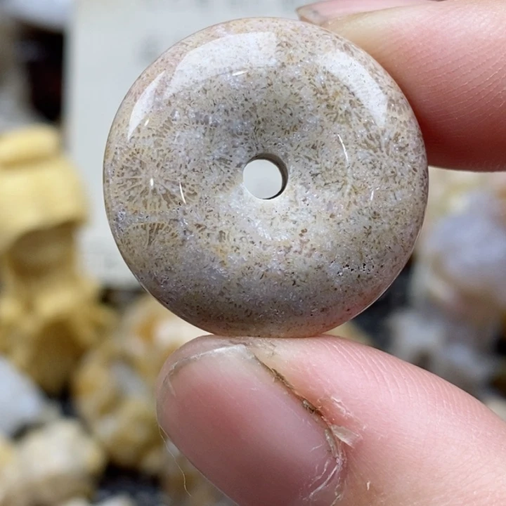 颈饰未镶嵌硅化珊瑚（珊瑚玉）小