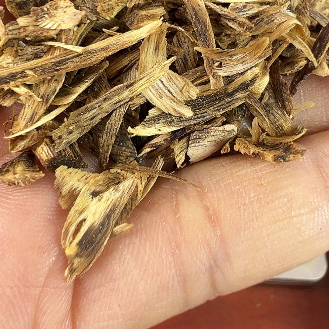 扯***子沉香碎屑沉香勾丝原材料1000g