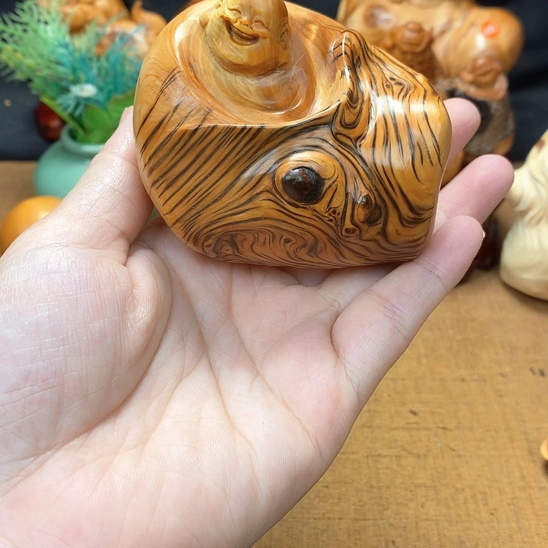 柏木（崖柏）一物一图