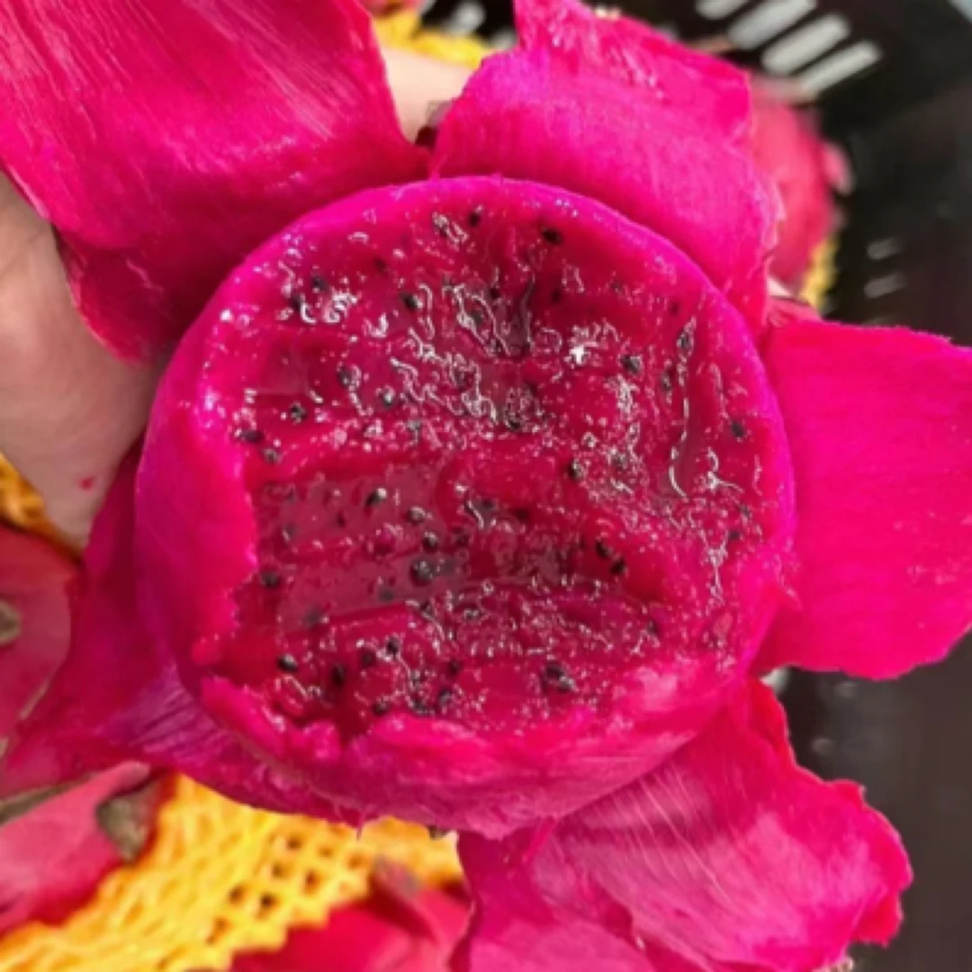 红心火龙果9.9元六个！！