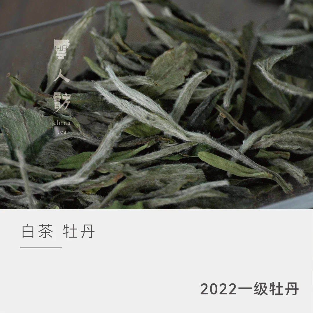 【云人访】银龙 2022 一 级 牡丹 80克