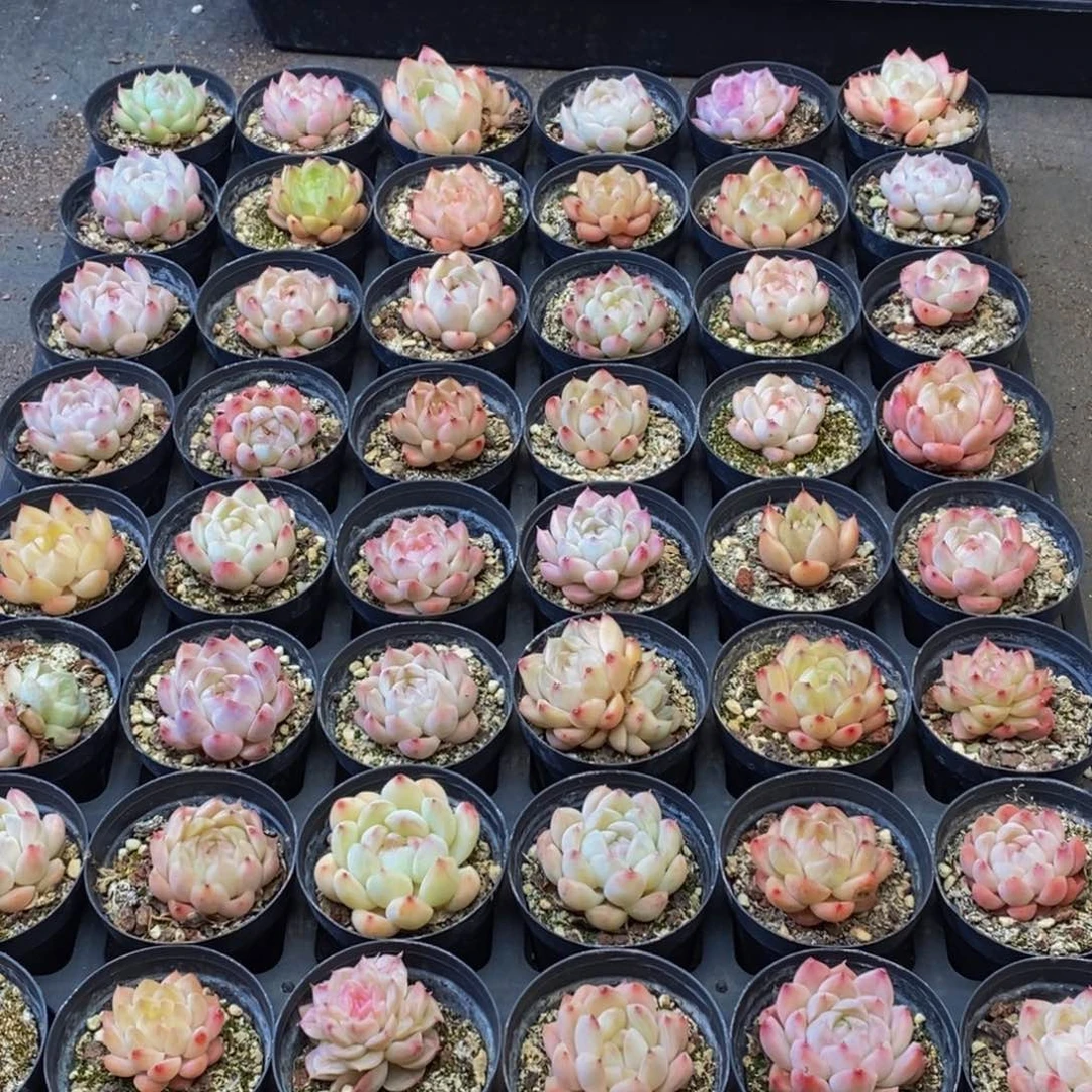 173多人在一起的时候就