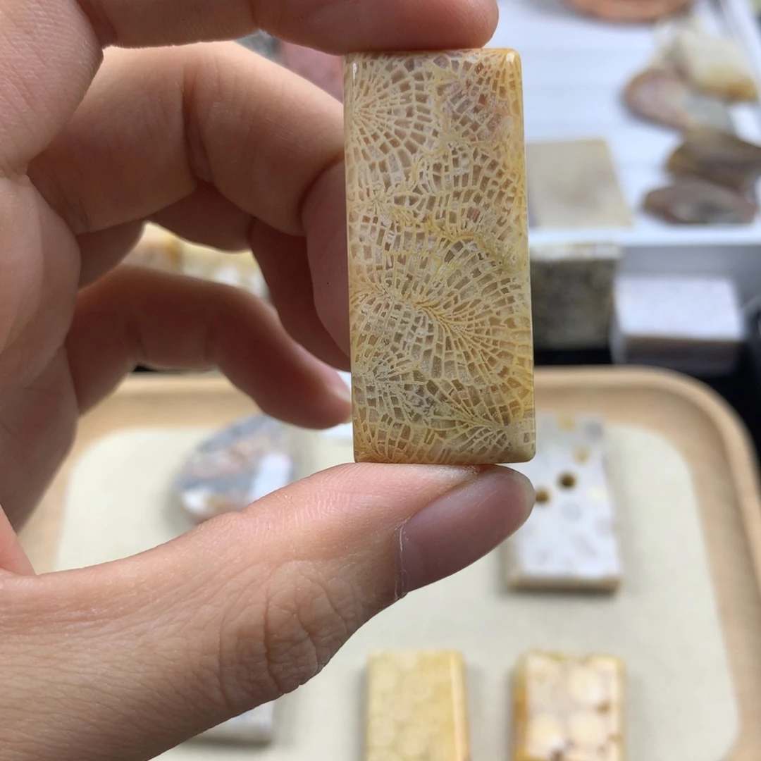 硅化珊瑚（珊瑚玉）无未镶嵌一****儿