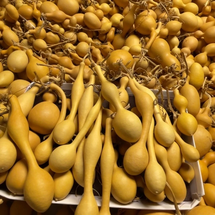 你**呢咯摸摸陌陌摸摸哦