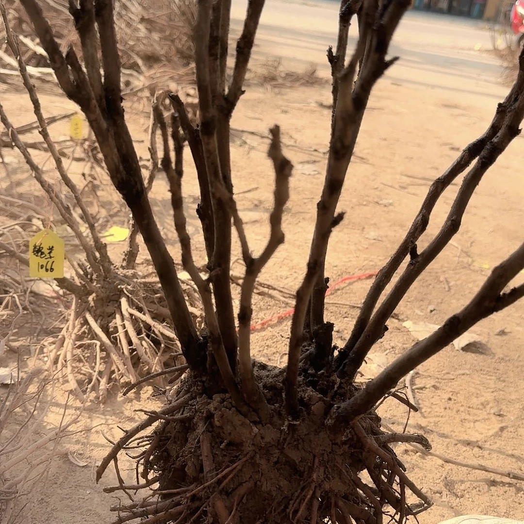 完全开放1111111111