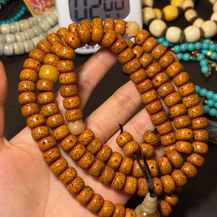 辽***阜55555555555555555