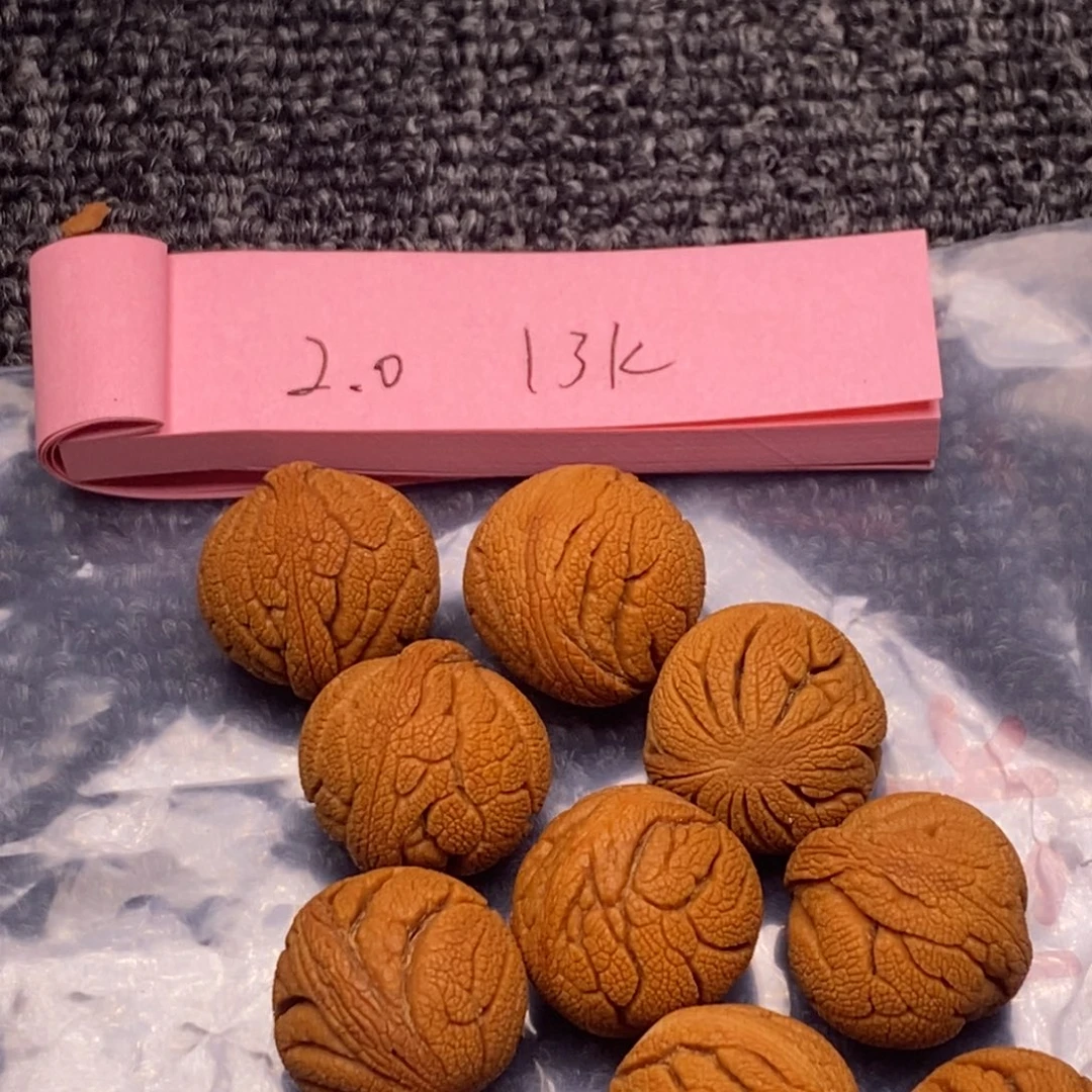 秦岭山脉龙纹桃单圈
