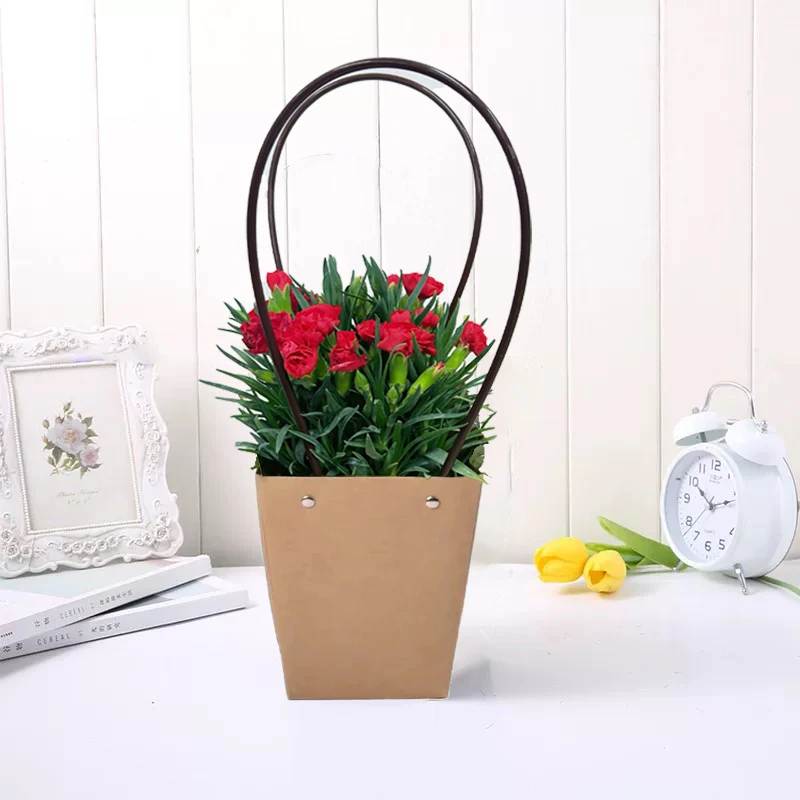 【花伴水】康乃馨盆栽绿植美观带花苞室内阳台好养