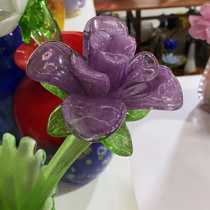 夜光花高45厘米左右