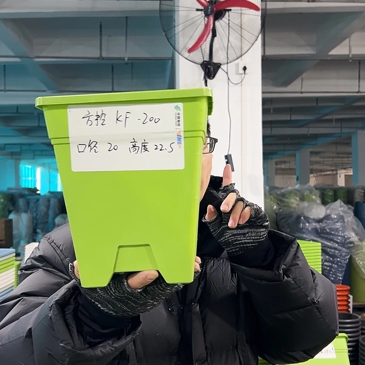 正品方盆口20高22果绿无托6只