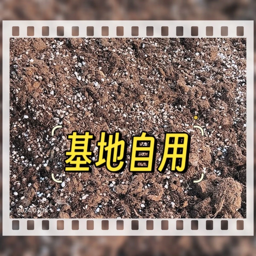 泥炭土基质土基地自用自配