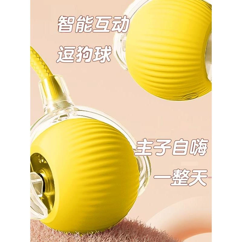 狗狗玩具球自动遛狗电动逗狗耐咬小狗比熊玩的宠物狗自嗨解闷神器