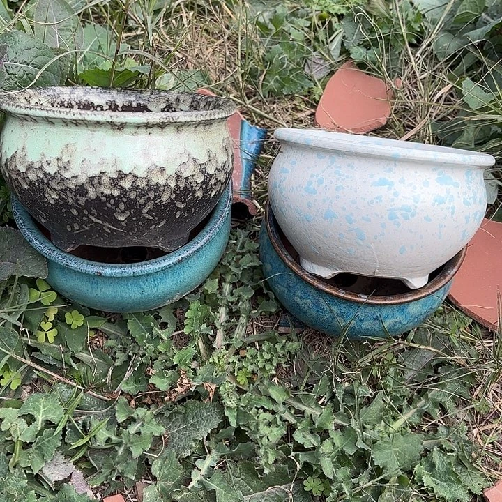 正品紫砂口15高10处理