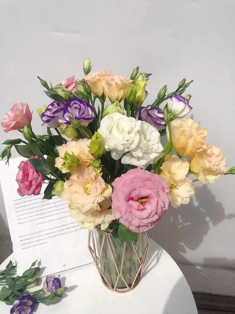 东北基地直发新鲜随机混色洋桔梗花束家常菜弗洛伊德