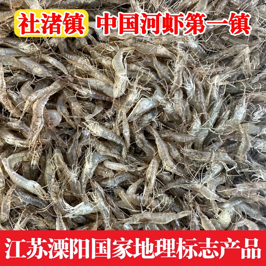 鲜活河虾小米虾1.5公分左右当天捕捞速冻发货小草虾黑壳虾