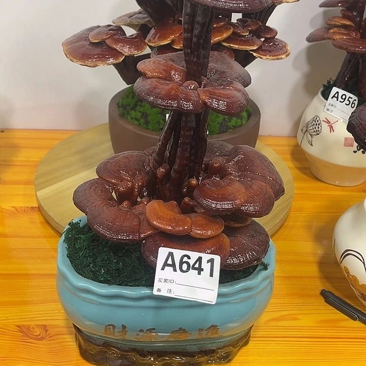 无花朵8888888888888888