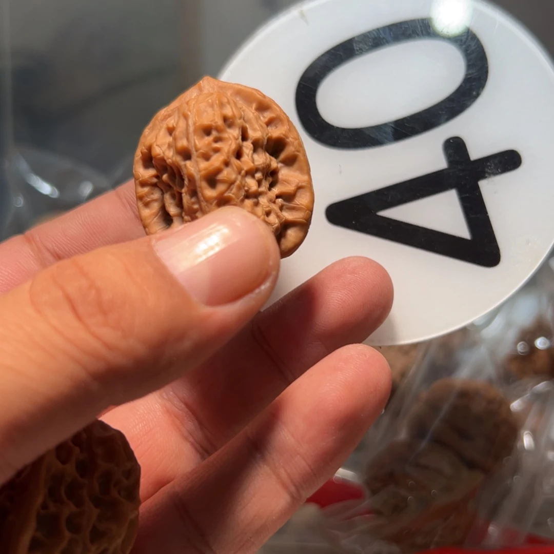 小***家文玩核桃，白色40号