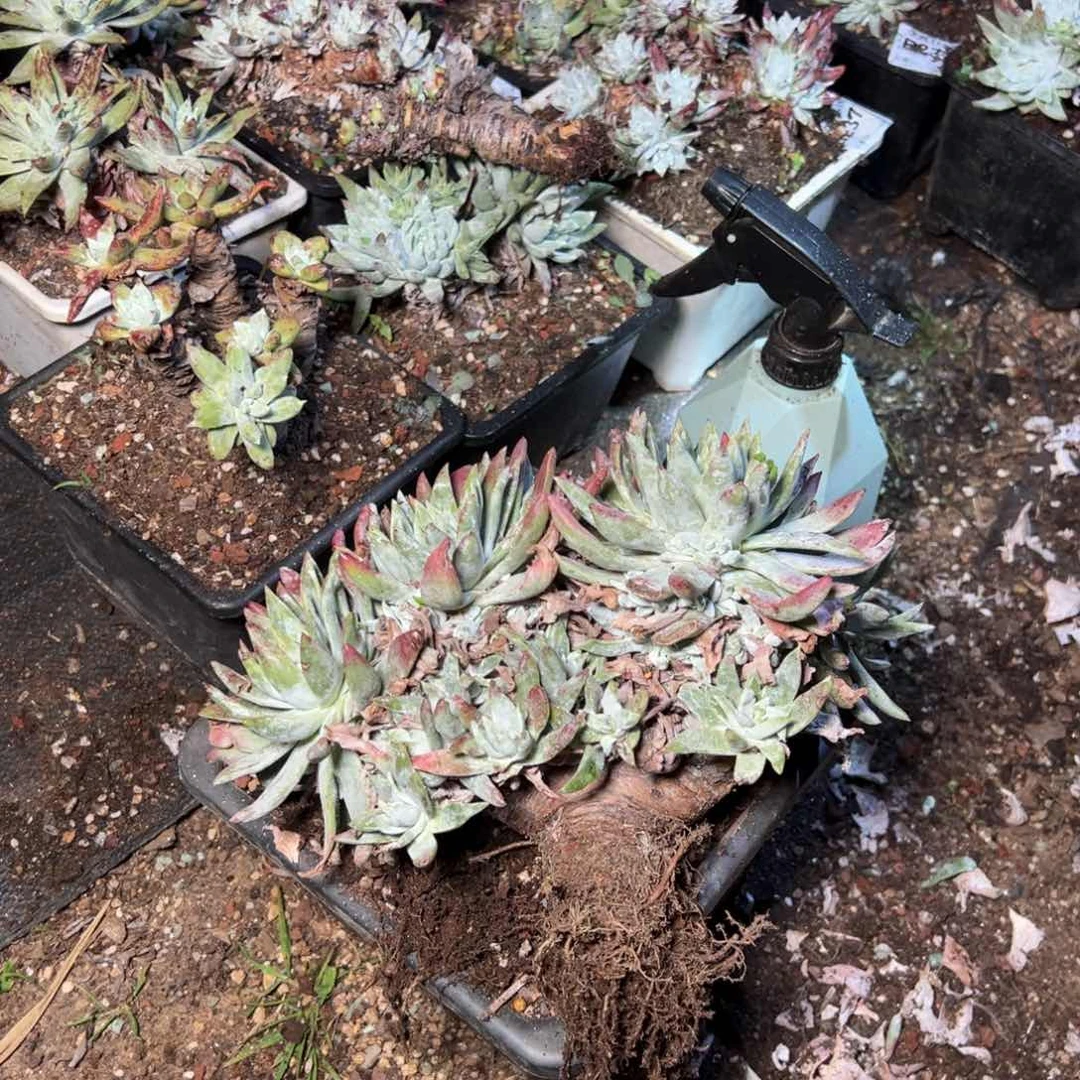 M**闵2399哈哈哈哈哈哈哈哈