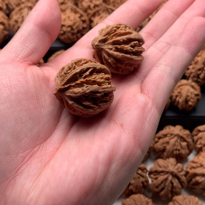 其他核桃秦岭森林公园等景点和