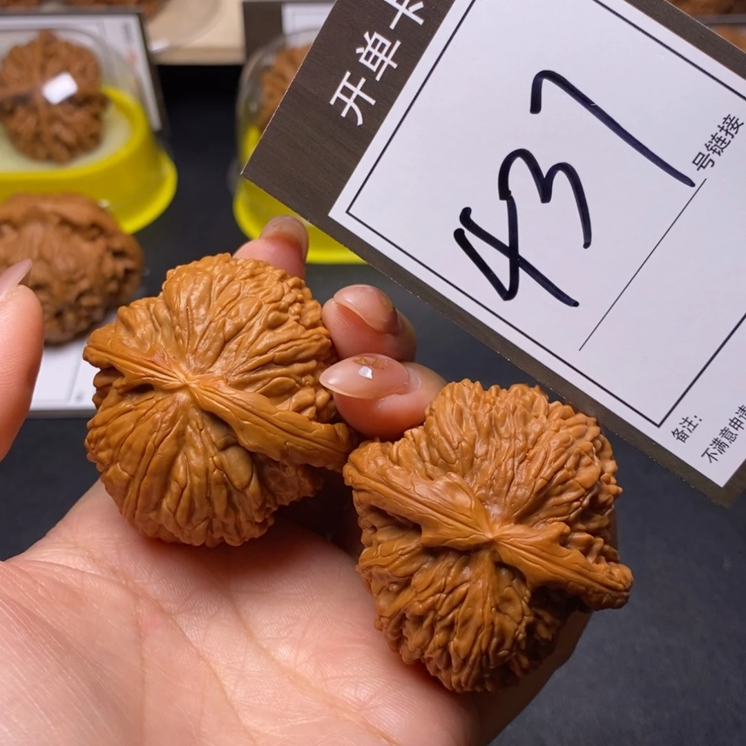 把件文玩核桃46白狮子437