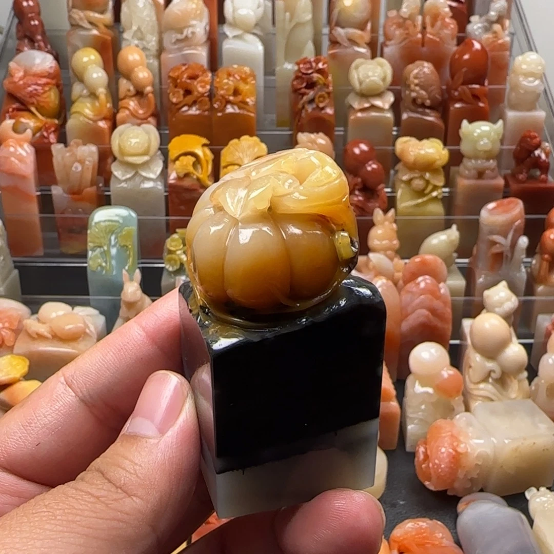 老挝石南瓜  3.2×6.4