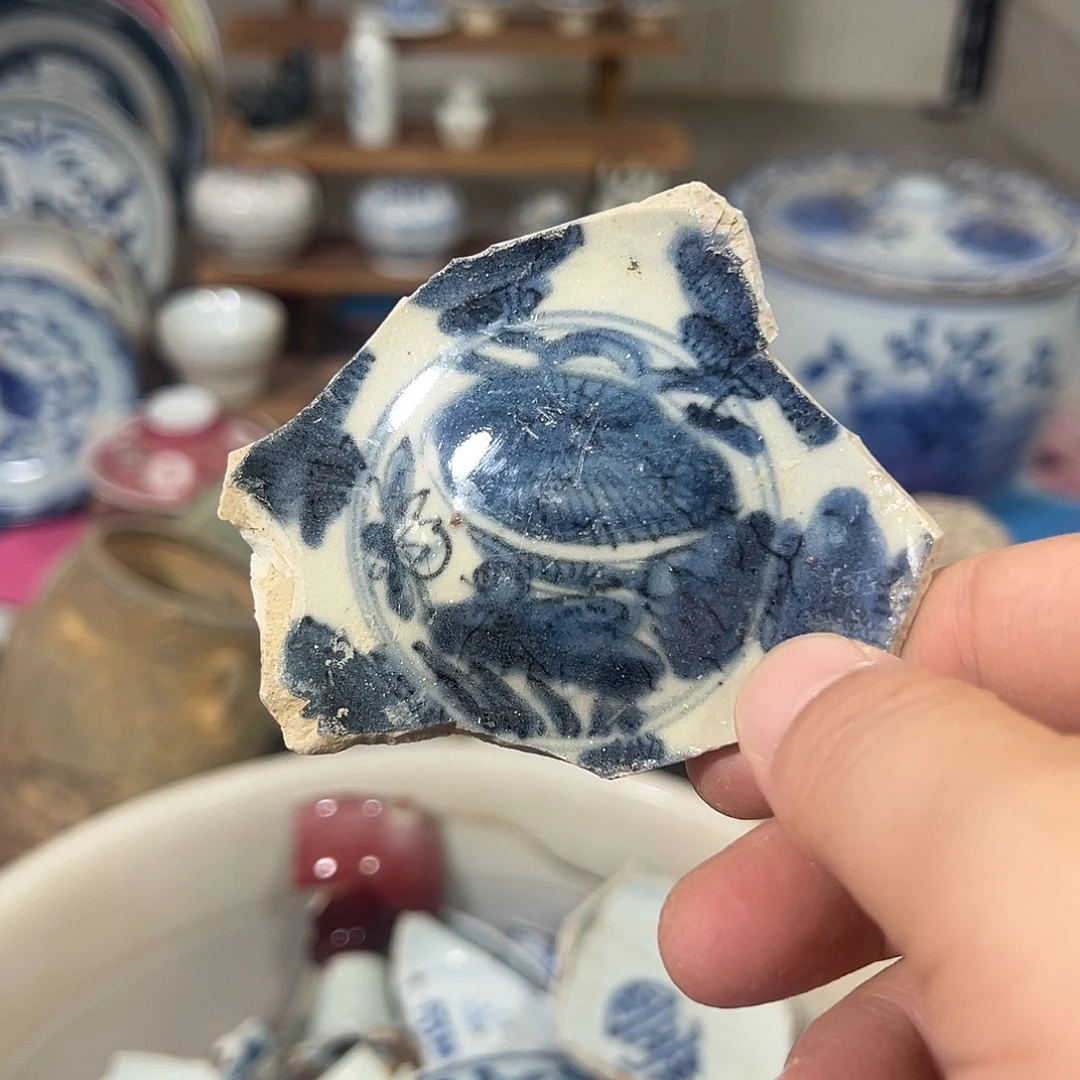 瓷片瓷片标本，全场包邮